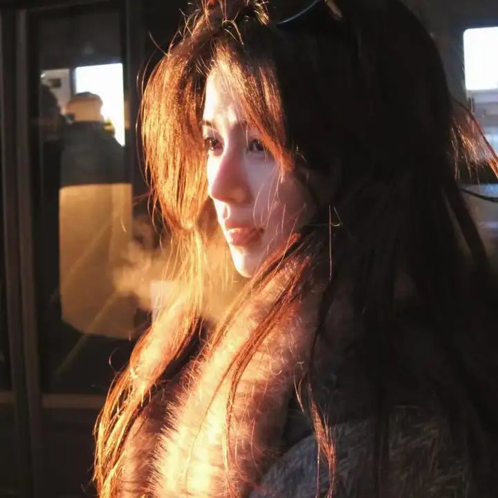 维多利亚春妮回家过年100招